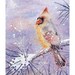 Original Watercolor Cardinal Female Bird Winter Snow Landscape Blizzerd Holiday Season Gift Bird Lover Snow Storm Winter Colors Childs Room