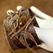Sticks and Stones Leather Cuff