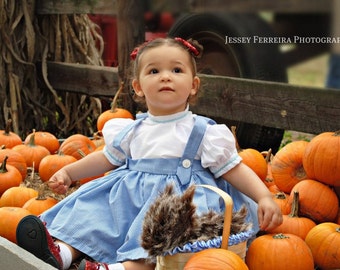 Baby Dorothy Dress only