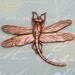 Dragonfly Pendant, Antique Copper AC27
