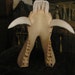 Wild Boar Pig Skelton Head Bone, Tusks, Nose, Teeth, Wild Boar, Wild Hog, Great for jewelry making, mixed media, art, and display