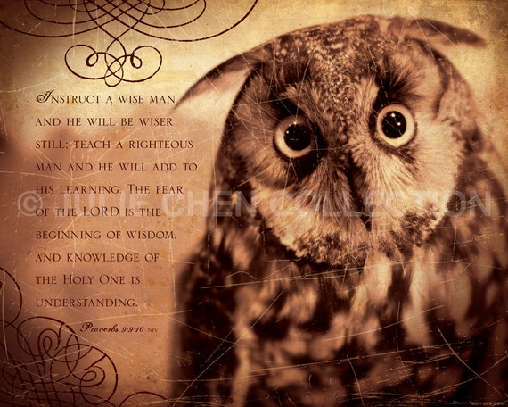 Quotes About Wisdom And Owls. QuotesGram