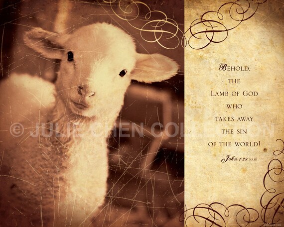 The Interior Picture Home Lamb And Jesus