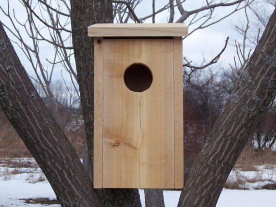 Cedar Owl House Birdhouse for Screech Owls Kestrels