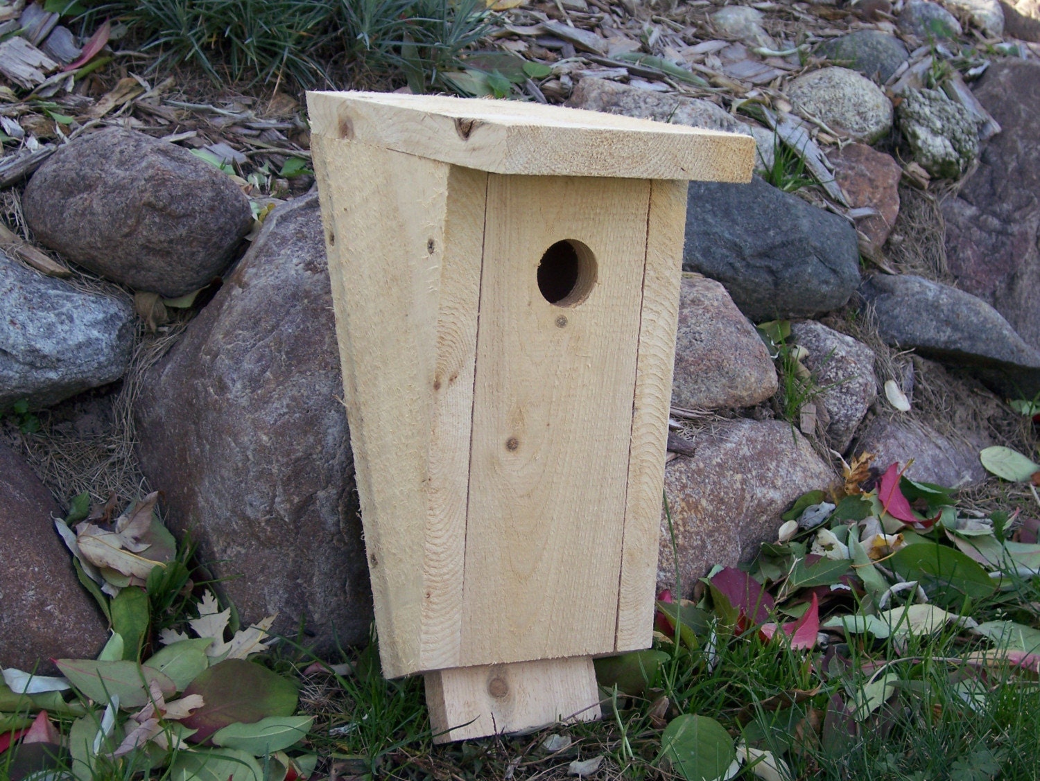 Birdhouse Kit Bluebird Bird House Peterson Style Natural Cedar