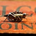 Grasshopper Ring - Book Print - Monday - Statement Ring