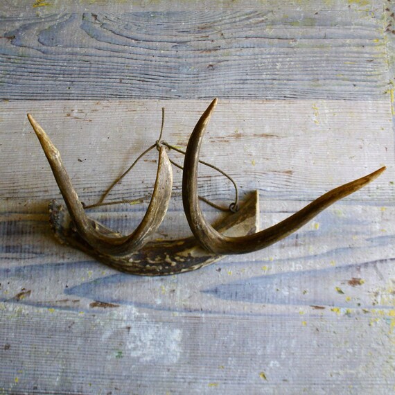 Vintage Antler Hat Rack