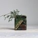 Antique Tobacco Tin - Holiday Colors