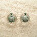 26mm DF Lampworked Borosilicate Glass Turtle Plugs