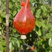 Fire Red Hand Blown Glass Hummingbird Feeder