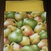 Fresh Pears Hot Pad