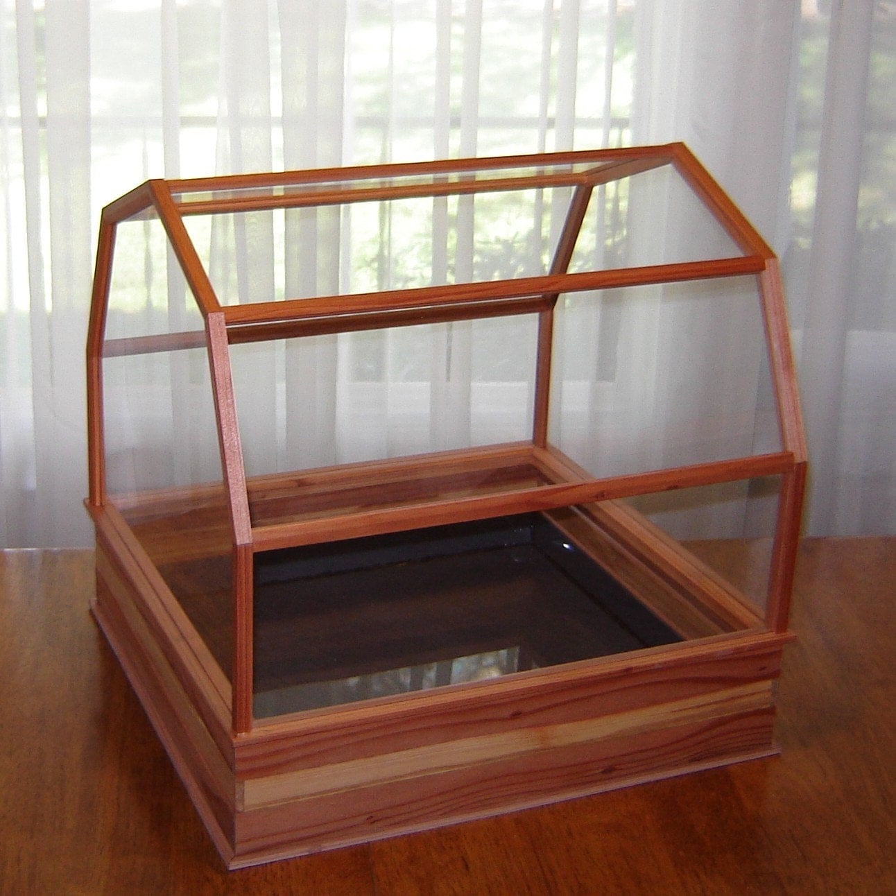 Redwood Plant Terrarium/Mini Greenhouse