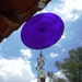 Fish Bubbles Blue Stained Glass Suncatcher with Sea Shells