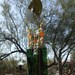 Free Shipping..Seashells and Sage Stained Glass Windchime Suncatcher