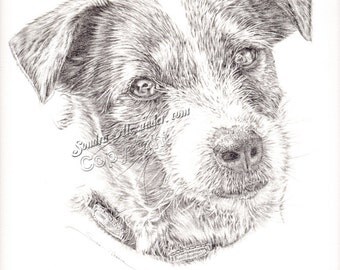 Items similar to Pencil drawing of Jack Russell dog on Etsy