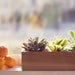 Modern Herb or Succulent Planter Box from Reclaimed Cedar