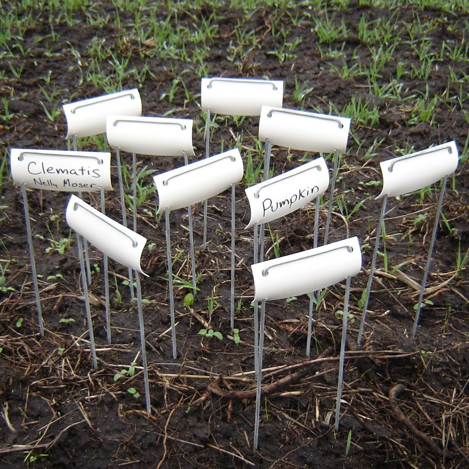 Metal garden markers with white labels extra large