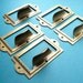 Set of 5 Label Holders with Matching Brads - Antique Brass Finish with Drawer Pull Handle