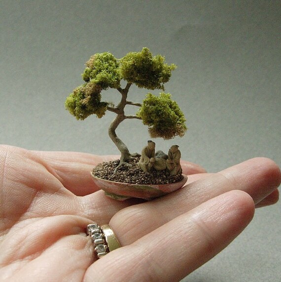 Bonsai Tree Miniature