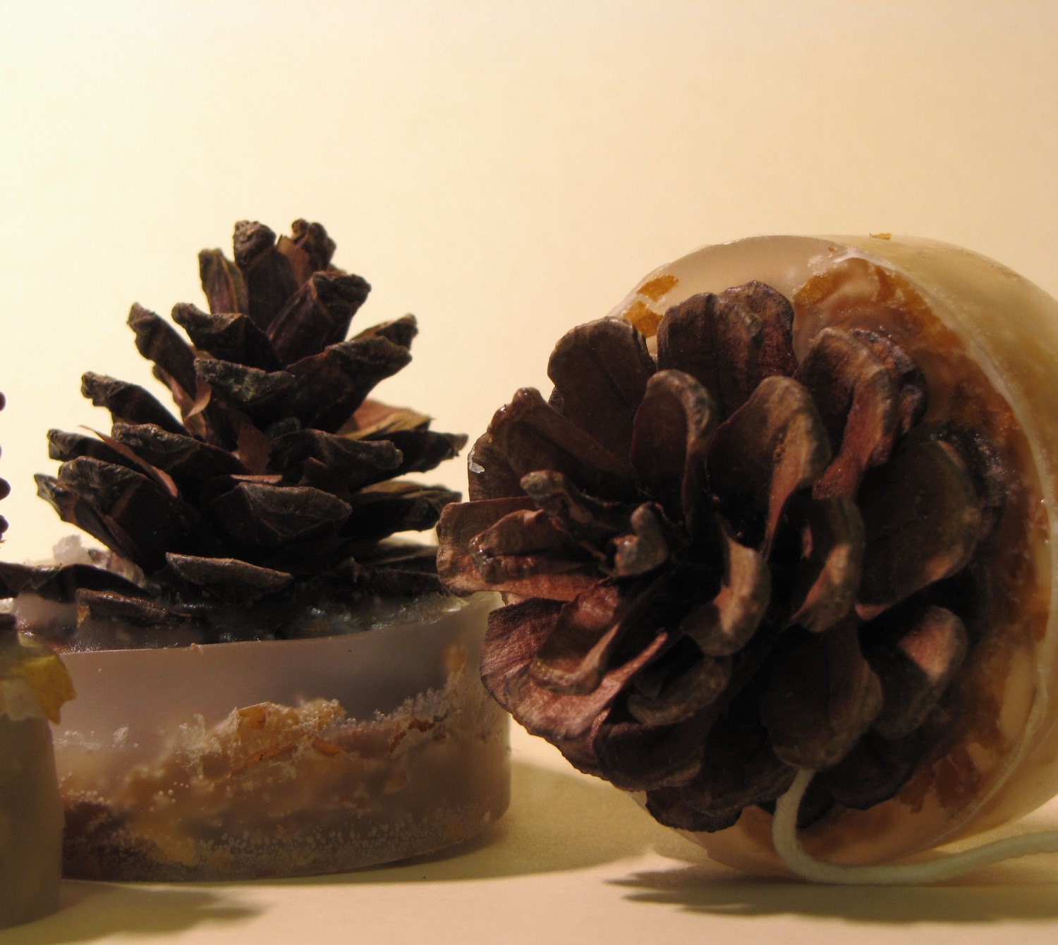 Download Pine Cone Fire Starters Set of 3 Holiday Gift Pack