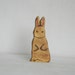 Fuzzy Bunny