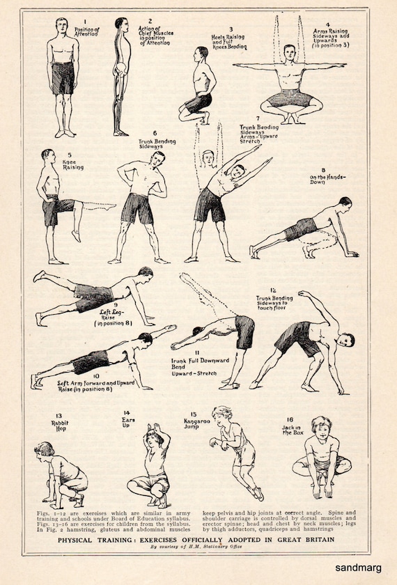 daily dozen exercises poster