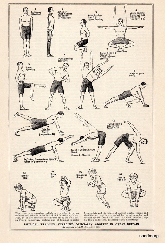 daily dozen exercises poster