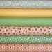 fat quarter bundle--6 pieces (1-1/2 yards total) from the Pam Kitty Morning Collection, Lakehouse Dry Goods