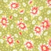 California Girl---Seaside Daisies in Sprout--1 yard--Fig Tree Quilts for Moda Fabrics