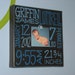 Baby Boy Birth Information Canvas Frame