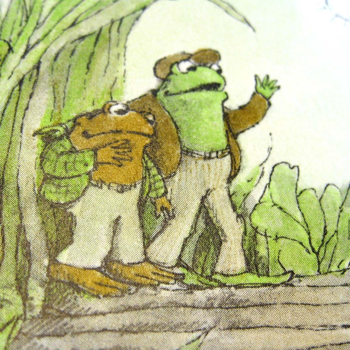 frog and toad garden story
