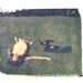 records in field- 8x10 polaroid transfer-signed by artist