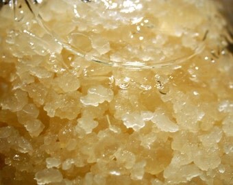 Water Kefir Grains KIT with TWO JARS