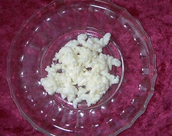 Kefir Grains live and ORGANIC - grown in RAW MILK
