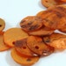 SALE - 50 Orange Mussel Shell Coin Bead Drops 10mm - 50 pc - 2970