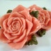 2 Salmon Cabochon Rose Flowers Victorian Style w Leaves 36mm - No Holes - 2 pc - 5465