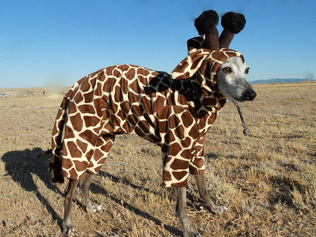 Hatz4brats� Tiny Giraffe Halloween Pet Costume MEDIUM