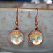 Glass Earrings - Blue Fan Floral Glass Dome Copper Earrings