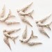 8 Bird Charms 25x17mm