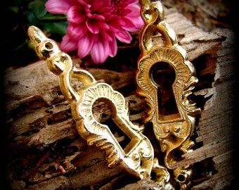 two decorative keyhole escutcheon plate embellishments