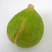 Italian Alabaster Fruit Guava