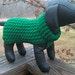Immediate Download - PDF Crochet Pattern for the Green St. Paddy's Day Dog Sweater - Skill level easy