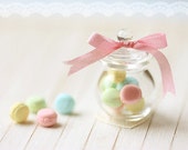 Dollhouse Miniature Food - Pastel French Macarons