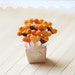 Dollhouse Miniature Food - Heart Shape Cookies Pop in 1/12 Dollhouse Miniature Scale