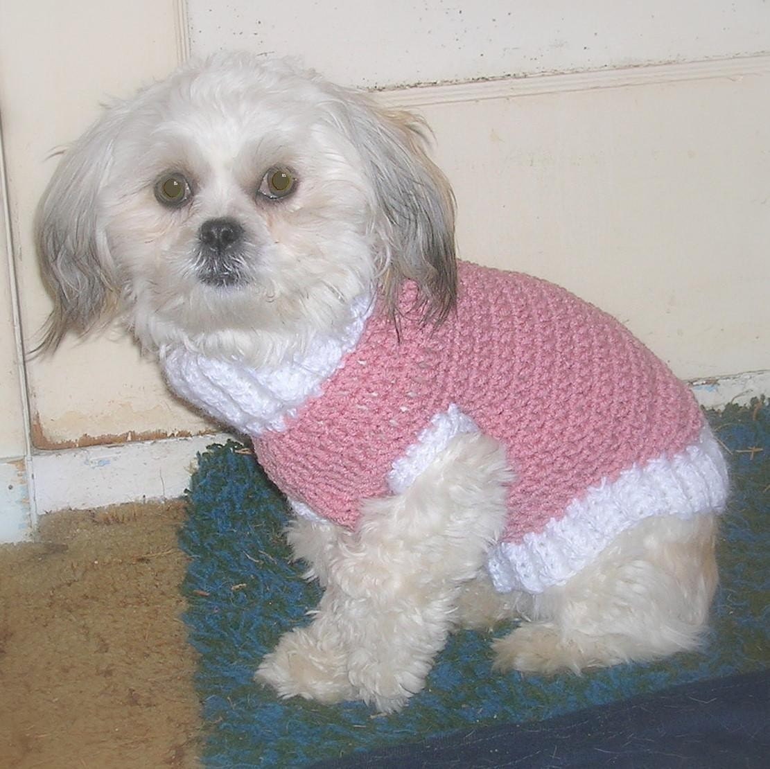 Pdf Pattern EMMA Little Dog Sweater Crochet FREE by WeeSandy