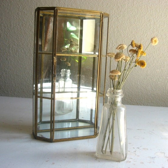 Vintage Glass Shadow Box Shelf and Mirror