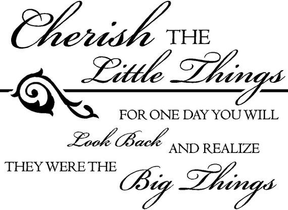 Cherish the little things Vinyl Wall Decal FAM4