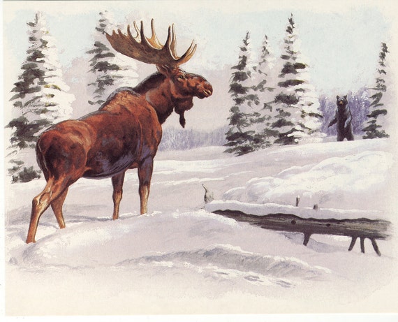 Vintage Illustration Moose in the Snow