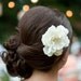 A Little Grace Ivory Peony Hair Flower