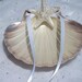 On SALE-Pearlized Scallop Ring Bearer Shell accented with small starfish and White Ribbon